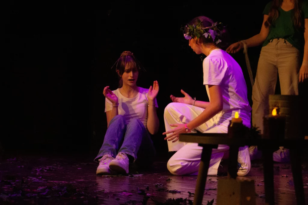 Groupe-Saint-Joseph_LaSalle-Dijon_theatre_Shakespeare_2024_2