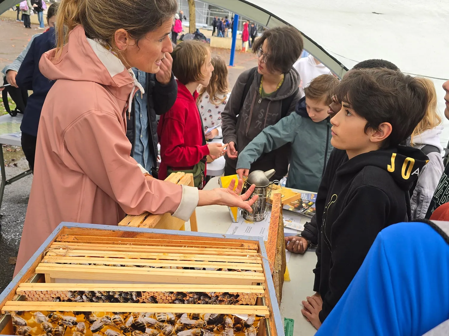 Groupe-Saint-Joseph_LaSalle_Dijon_projet_6e_biodiversite (1)