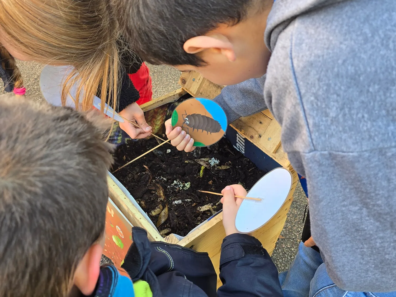 Groupe-Saint-Joseph_LaSalle_Dijon_projet_6e_biodiversite (2)
