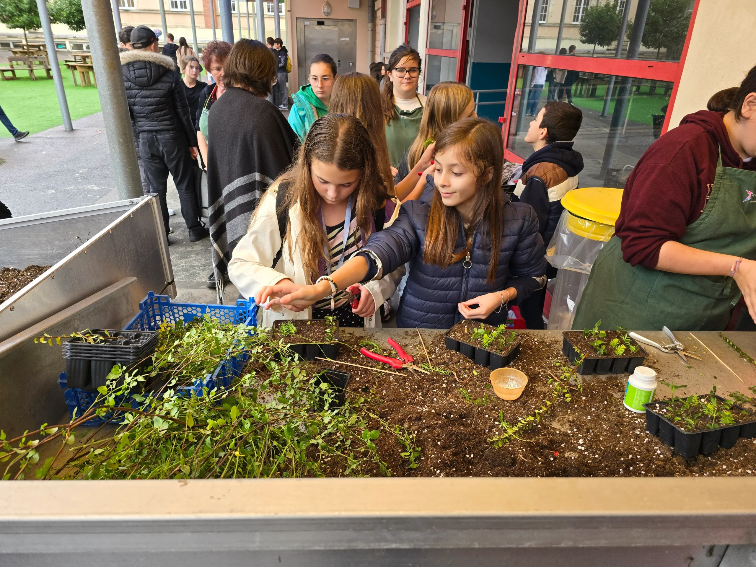 Groupe-Saint-Joseph_LaSalle_Dijon_projet_6e_biodiversite3