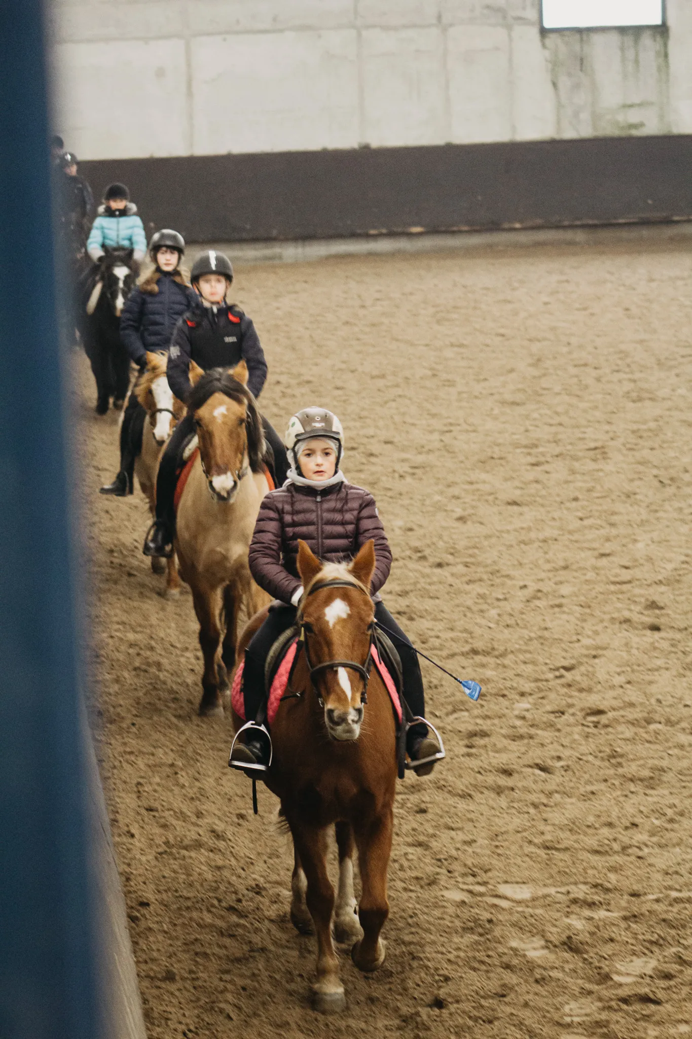 Groupe-Saint-Joseph_LaSalle_Dijon_projet_6e_equitation2 (2)