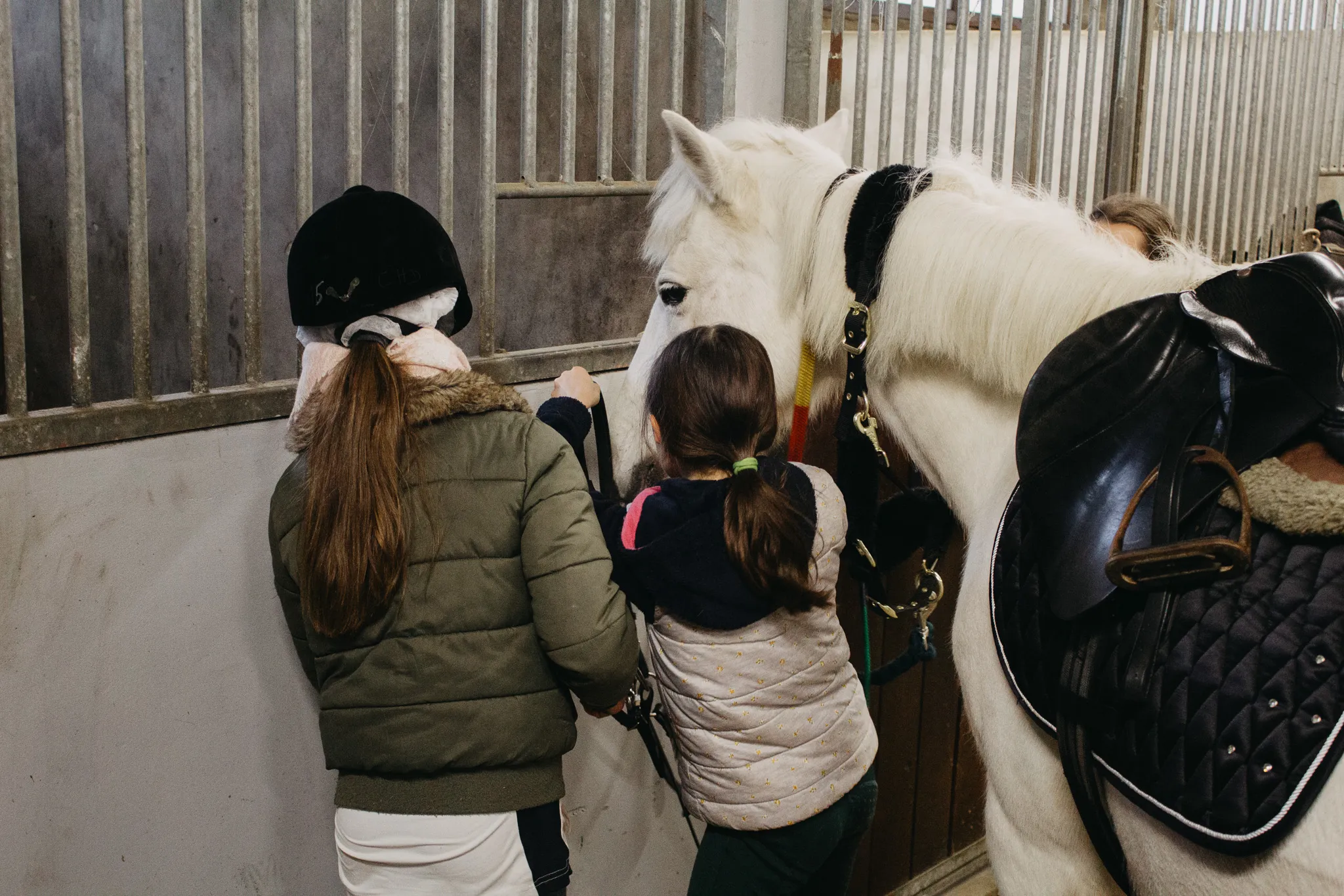 Groupe-Saint-Joseph_LaSalle_Ecole_equitation_projet6 (1)