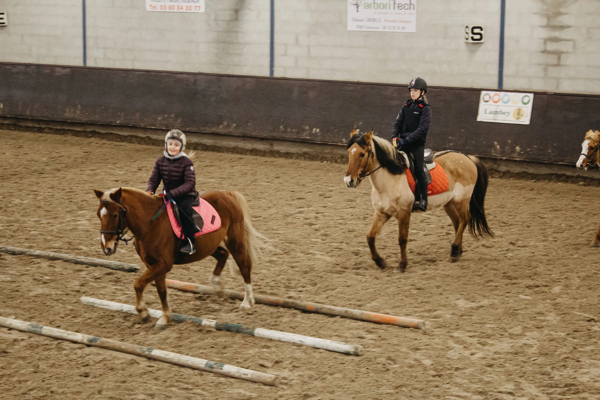 Groupe-Saint-Joseph_LaSalle_Ecole_equitation_projet6 (4)