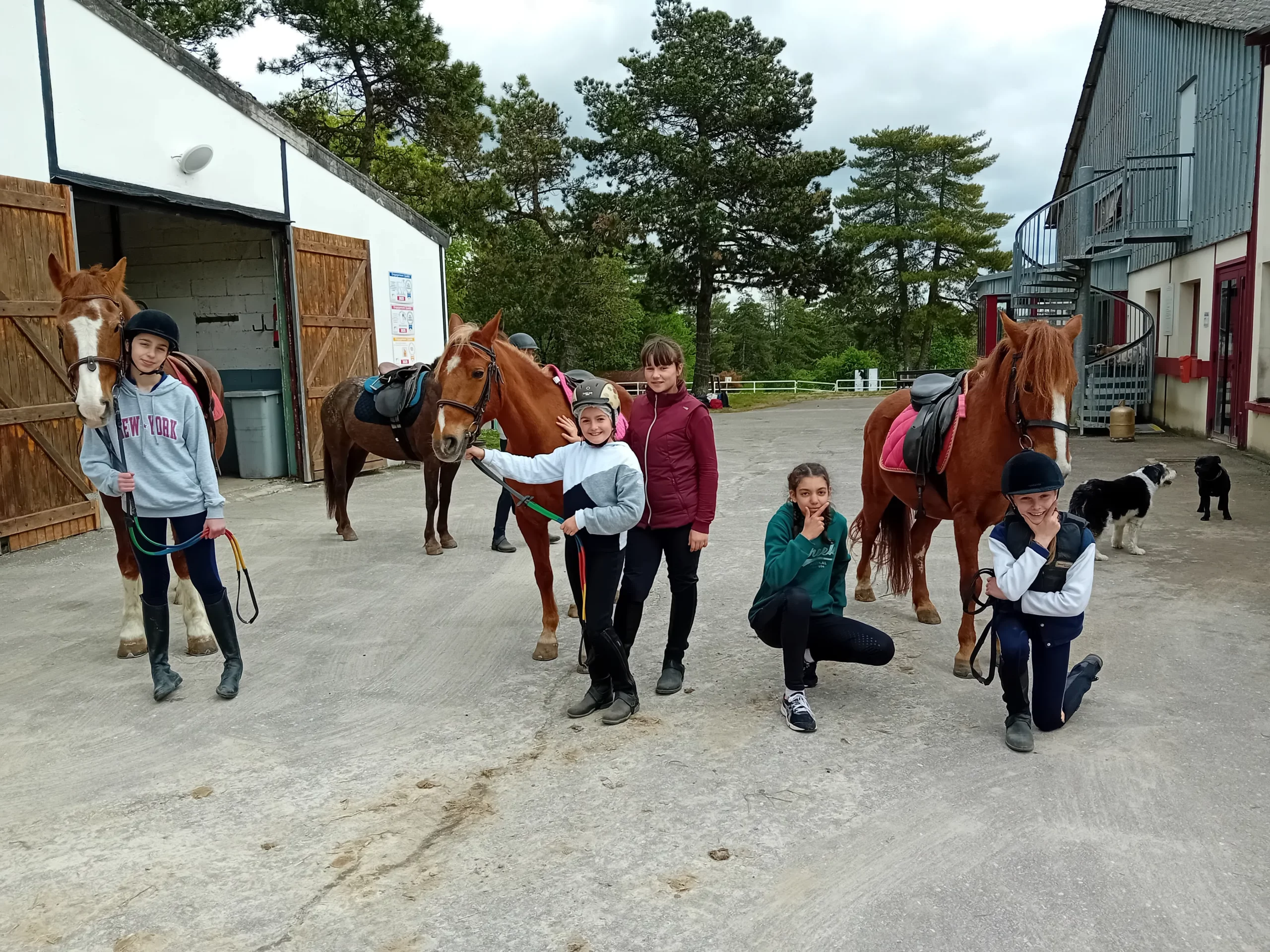 Groupe-Saint-Joseph_LaSalle_Ecole_equitation_projet6 (5)